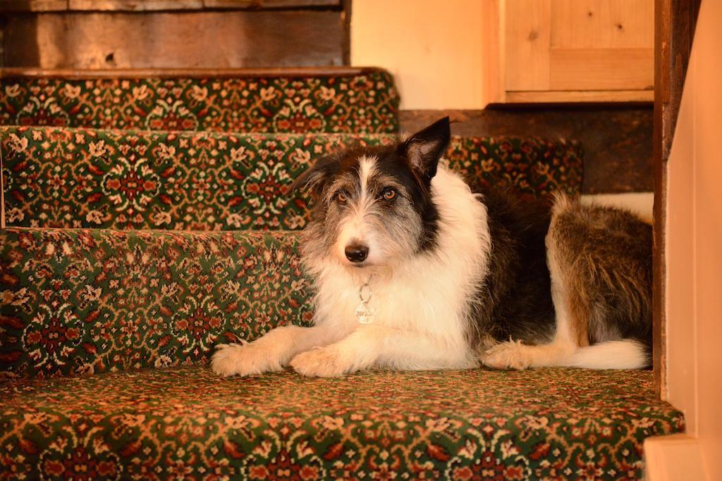 Badgers Hall Chipping Campden Bagian luar foto